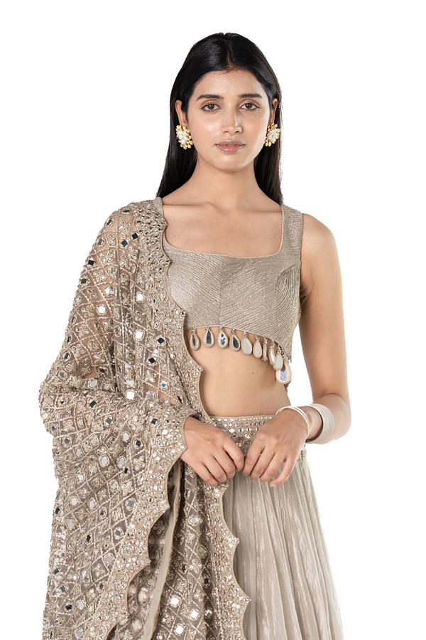 Silver tissue lehenga set