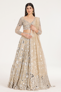 PALE OAK LEHENGA SET