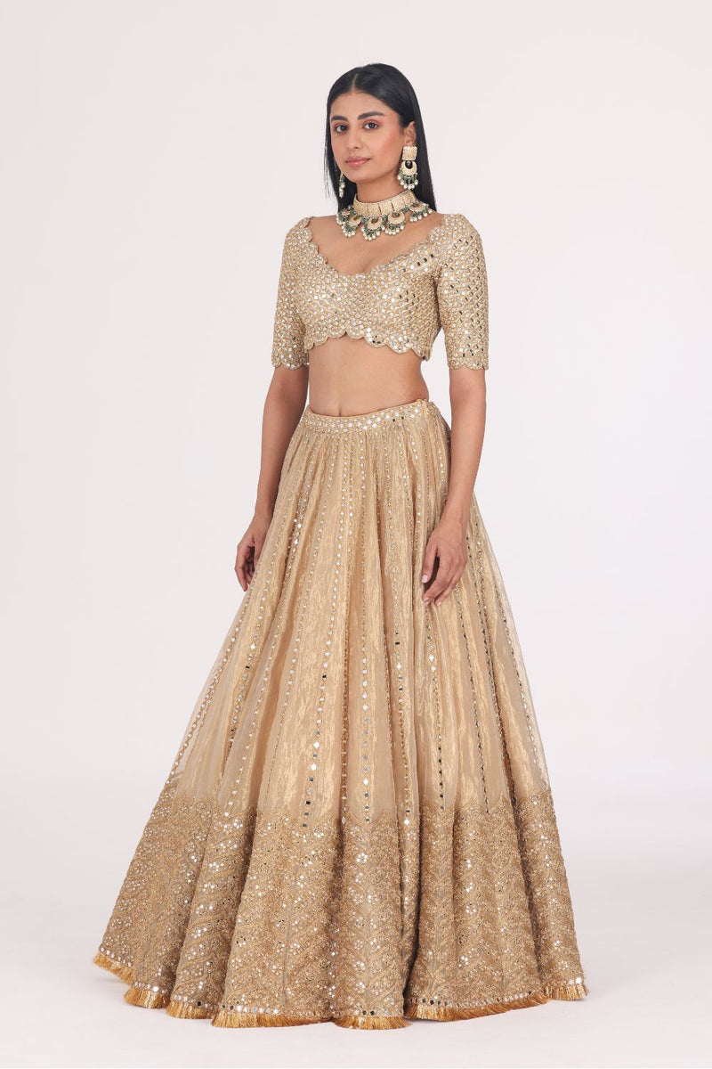 MIRROR EMBELLISHED TISSUE LEHENGA SET