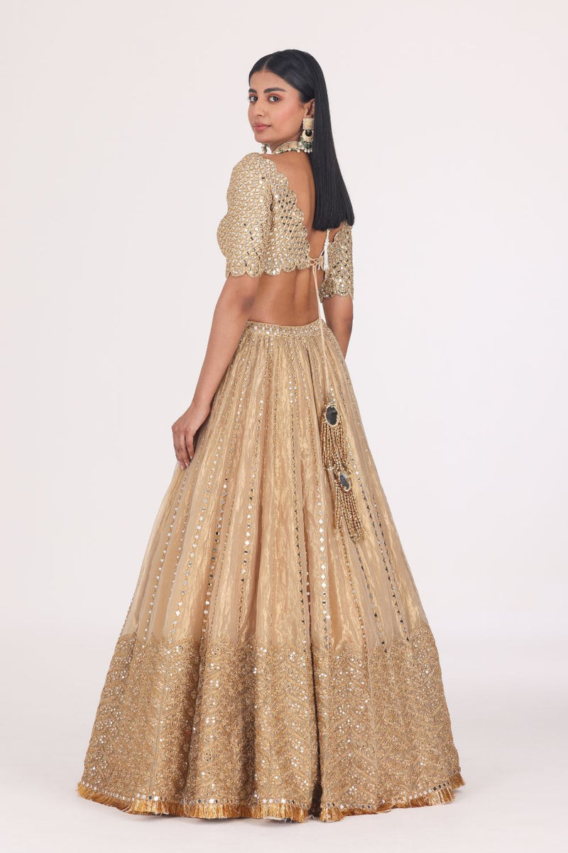 MIRROR EMBELLISHED TISSUE LEHENGA SET