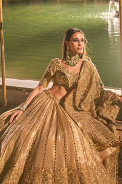 MIRROR EMBELLISHED TISSUE LEHENGA SET